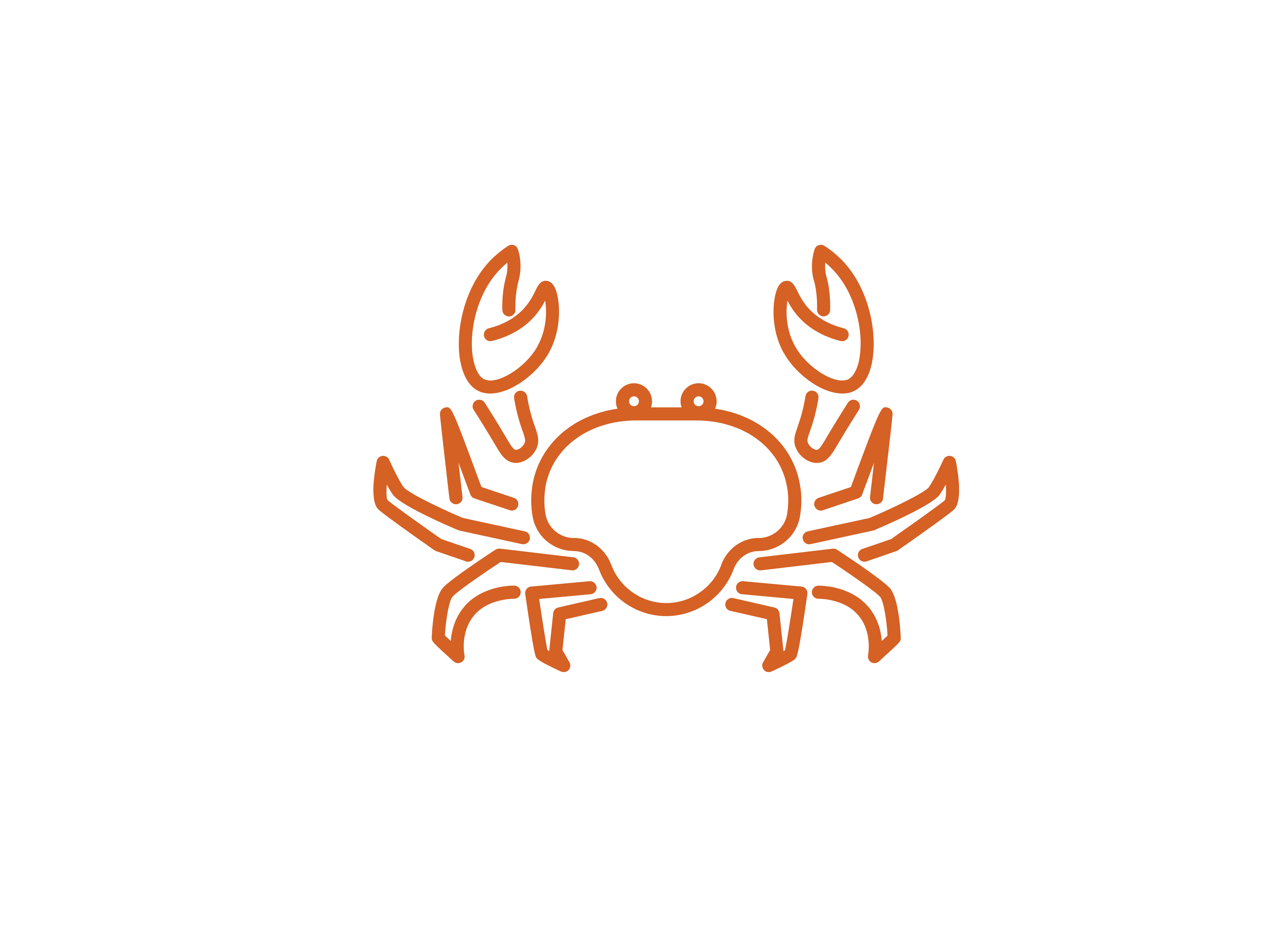 Crab Illustration
