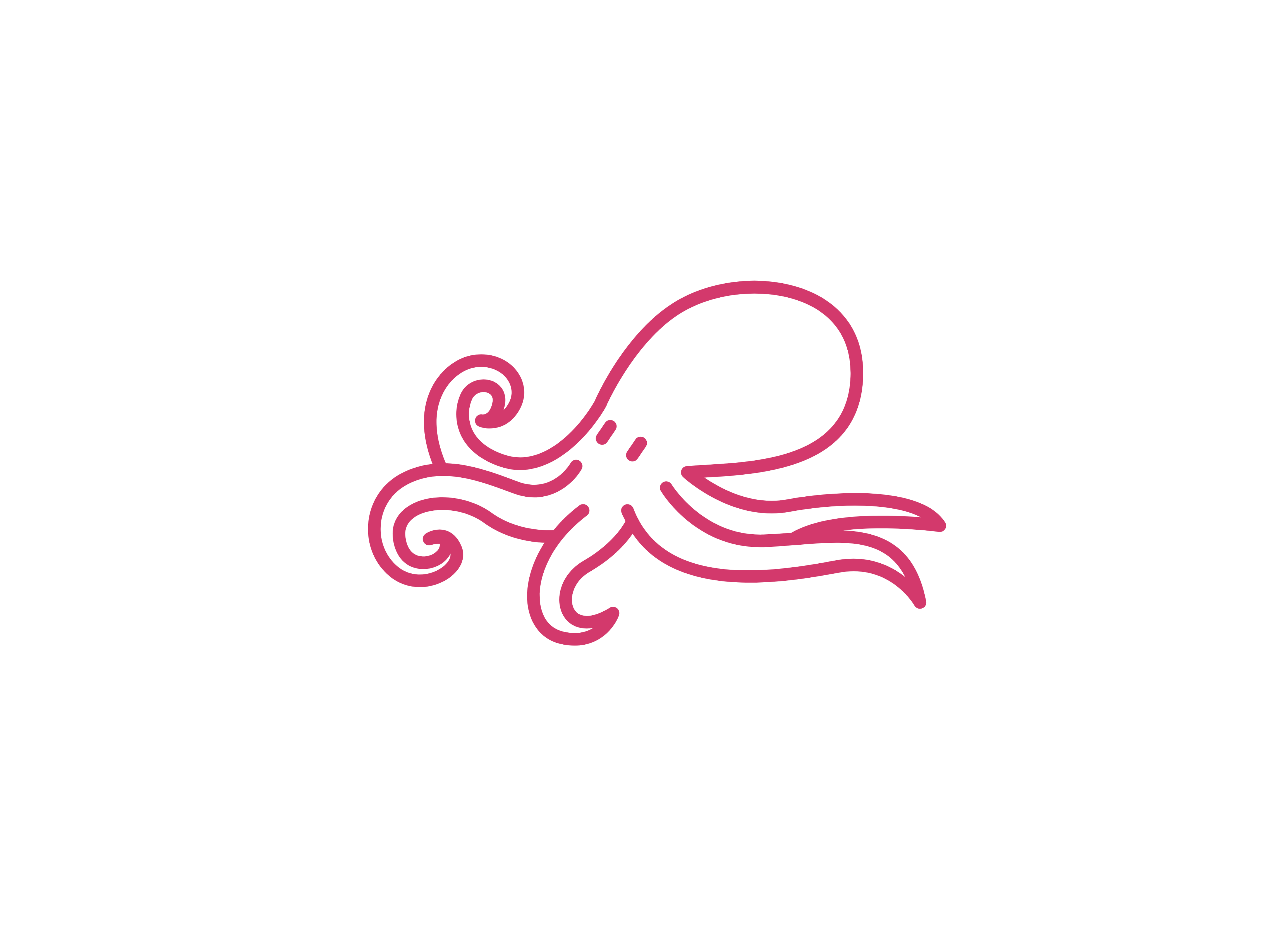 Squid Illustration